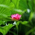 我的相册