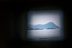 守护海上“两山”——鸻鹬记